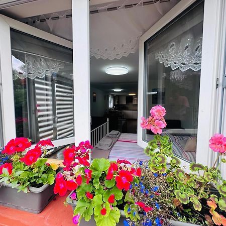 Apartament Bukowy 克沃兹科 外观 照片