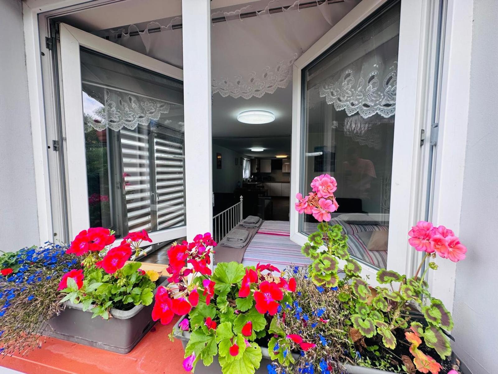 Apartament Bukowy 克沃兹科 外观 照片